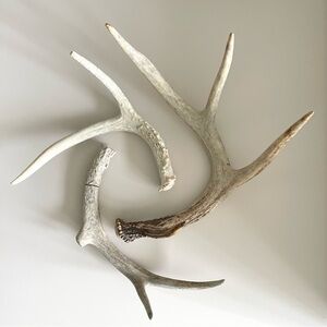 Rustic Antler Decor - Natural